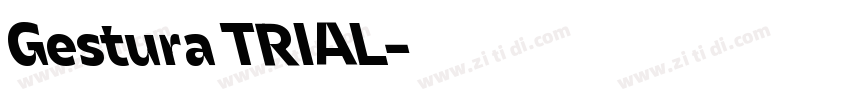 Gestura TRIAL字体转换